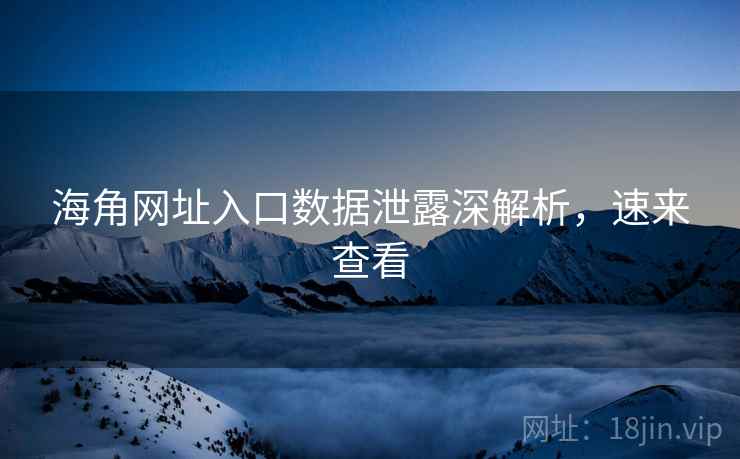 海角网址入口数据泄露深解析，速来查看