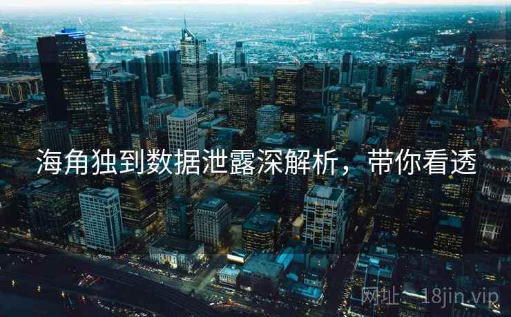 海角独到数据泄露深解析，带你看透