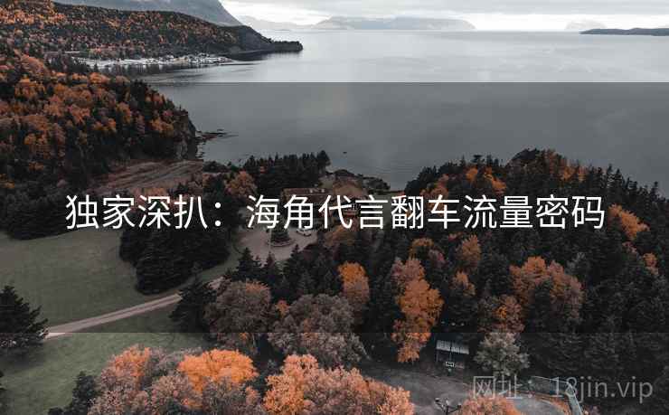 独家深扒：海角代言翻车流量密码