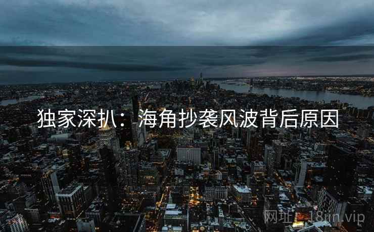 独家深扒：海角抄袭风波背后原因
