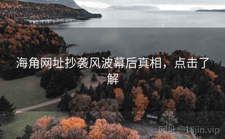 海角网址抄袭风波幕后真相，点击了解